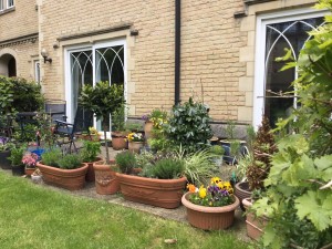 a resident's patio showing planted flowerpots. Photo by HelpStation